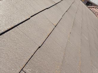 木更津市　屋根に苔の発生