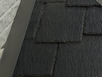 アーバニーとは