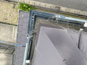 雨樋の破損