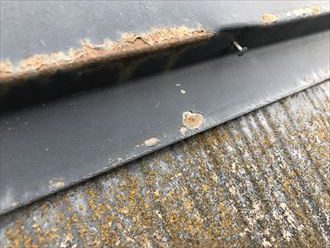 棟板金サビ