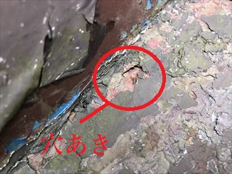 錆びた波板トタンには穴あきを確認