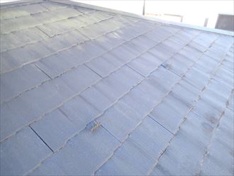 東金市　屋根調査