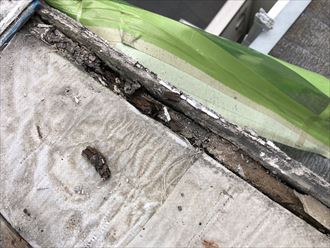 雨漏りによる腐食