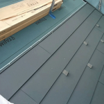 タディスセルフ