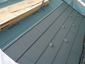 タディスセルフ