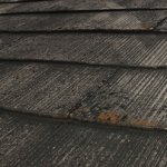 塗膜剥がれ、苔