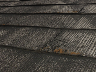 塗膜剥がれ、苔