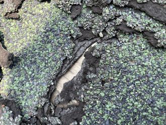 シングル材劣化