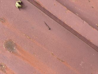 釘が抜けてしまっています