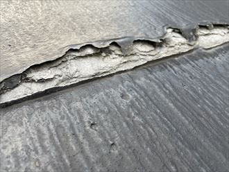 パミール特有の症状