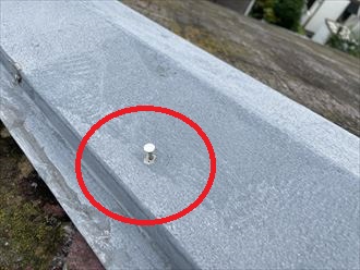 脳天打ちされています