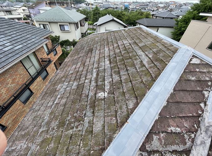 スレート全体に苔やカビの発生