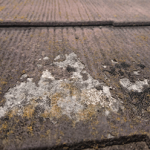 素地が見えている