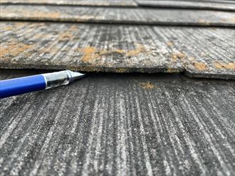 棟板金に浮きや飛散はありません