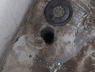 排水口　汚れ