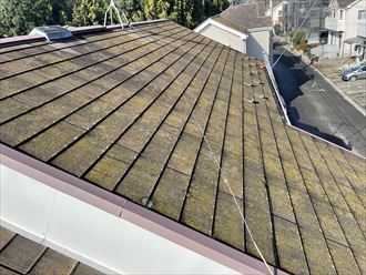 屋根北面には苔が多く発生