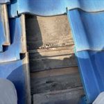 防水紙が縮んでしまい野地板が見えてしまっています