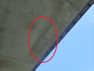 茂原市　染みの広がり