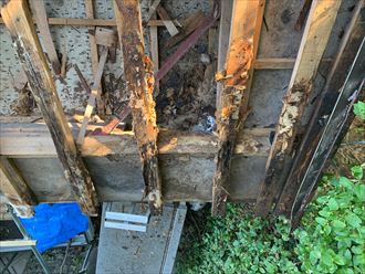 館山市　垂木の傷み