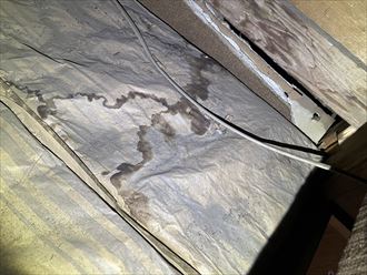 断熱材に水の痕跡