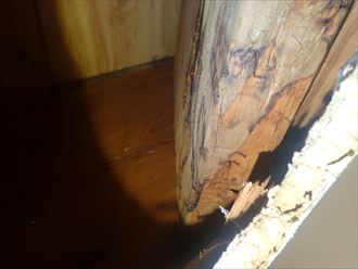 長生郡　雨染みの跡