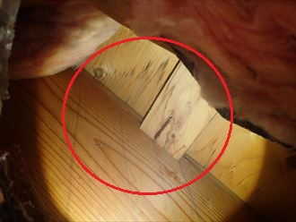 長生郡　屋根裏調査