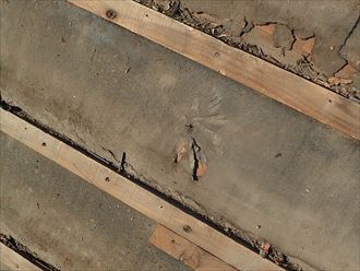 長生郡　防水紙の切れ