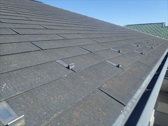 佐倉市　屋根の状態調査