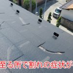 至る所で割れの症状が