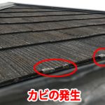 防水性が低下しカビが発生