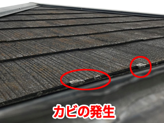 防水性が低下しカビが発生