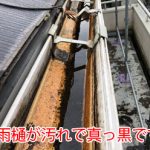 雨樋が汚れで真っ黒に