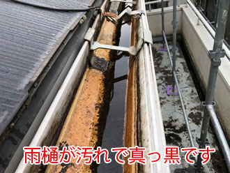 雨樋が汚れで真っ黒に