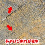 苔やひび割れが発生