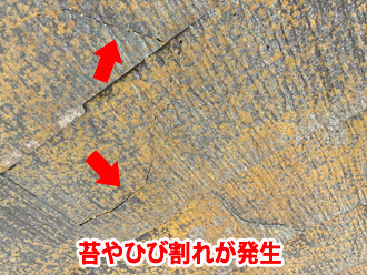 苔やひび割れが発生