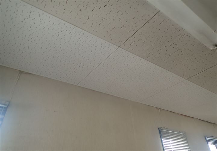 木更津市　天井張替え工事完了