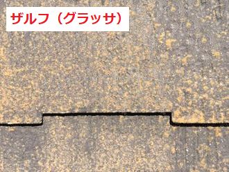 ザルフグラッサ