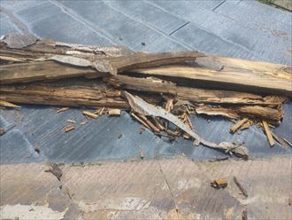 山武郡　貫板の傷み