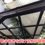 雹被害を受け波板が破損
