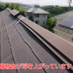 棟板金が浮き上がっています
