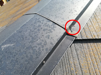 内部の貫板が腐食している可能性