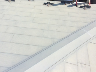 塗膜が劣化し退色