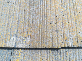 スレート表面に苔やカビが繁殖