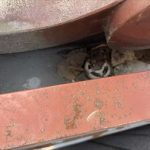 排水口の詰まり