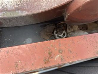 排水口の詰まり