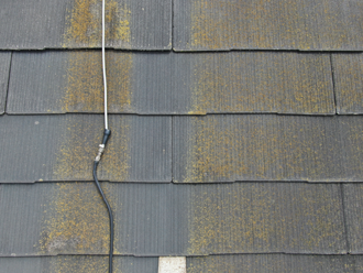 屋根の拡大写真