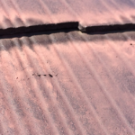 スレートの小口の様子