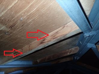 佐倉市　垂木に染み