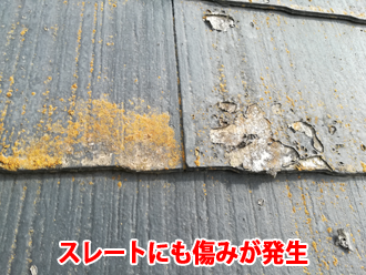 スレートにも傷みが発生