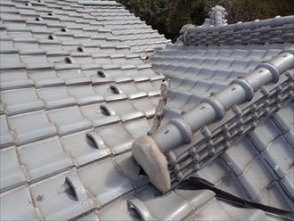 市原市　屋根調査